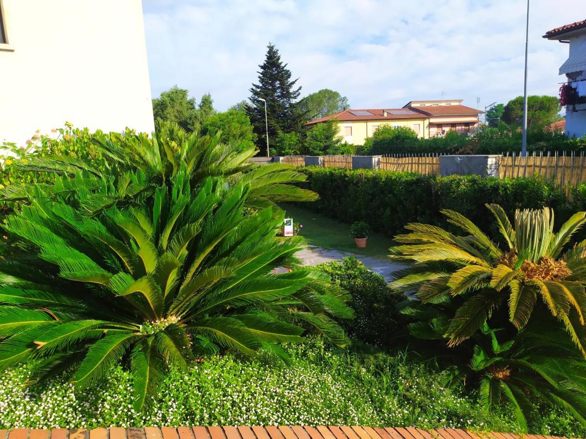 B&B Tra Mare E Marmo Marina Di Carrara Extérieur photo